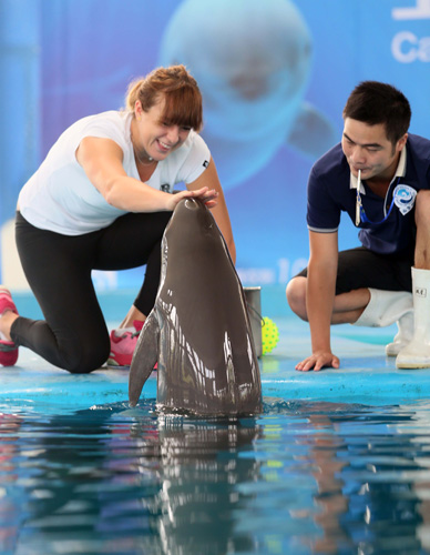 否立即炸 否立即炸