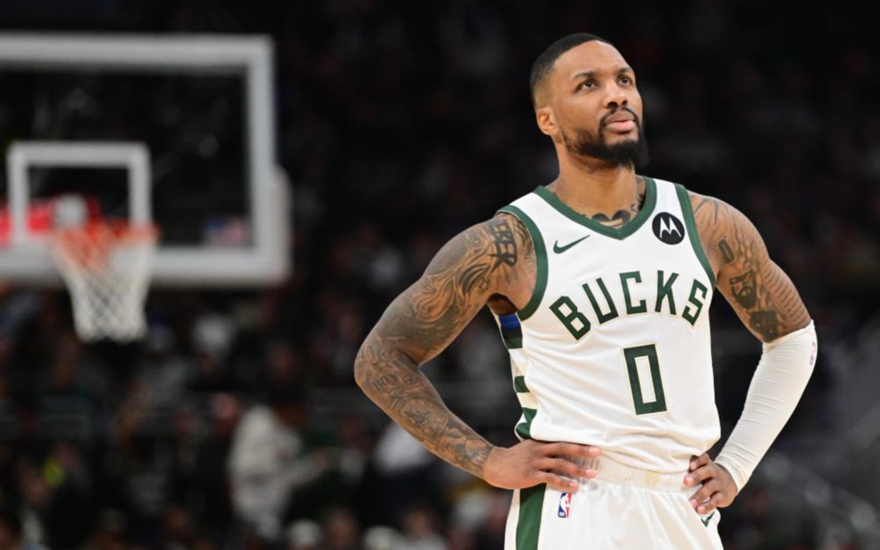 共同指向一 共同指向一